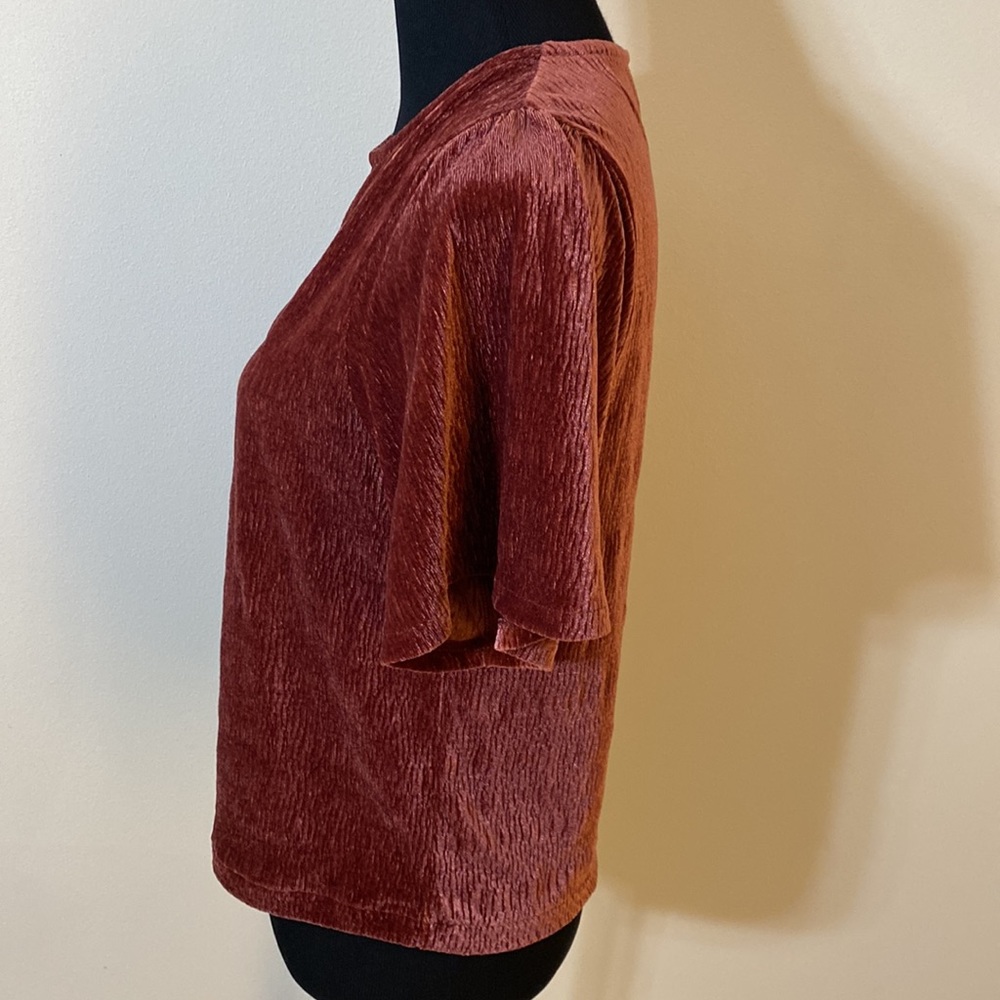 Madewell Texture & Thread Velvet Flutter Sleeve T… - image 2